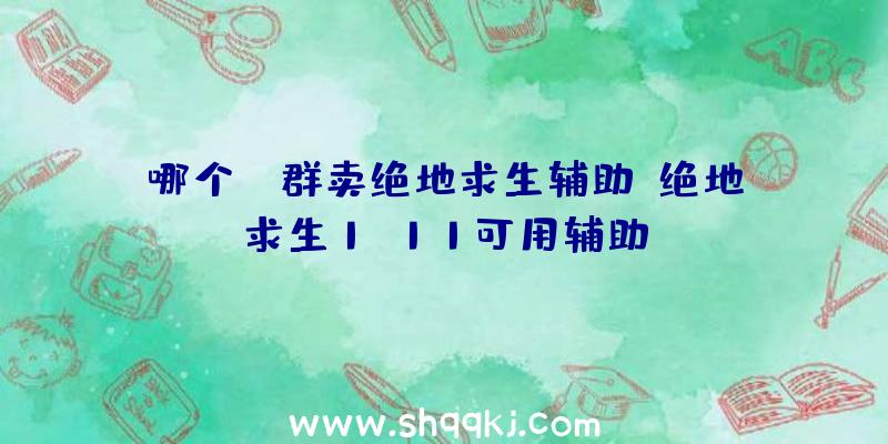 哪个QQ群卖绝地求生辅助、绝地求生1.11可用辅助