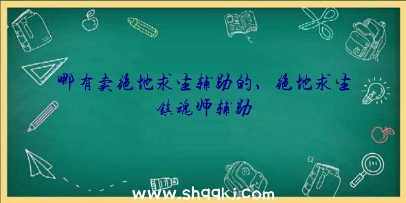 哪有卖绝地求生辅助的、绝地求生镇魂师辅助