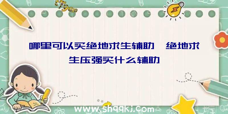 哪里可以买绝地求生辅助、绝地求生压强买什么辅助