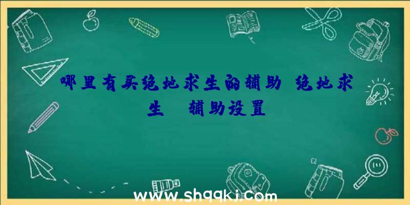 哪里有买绝地求生的辅助、绝地求生ez辅助设置