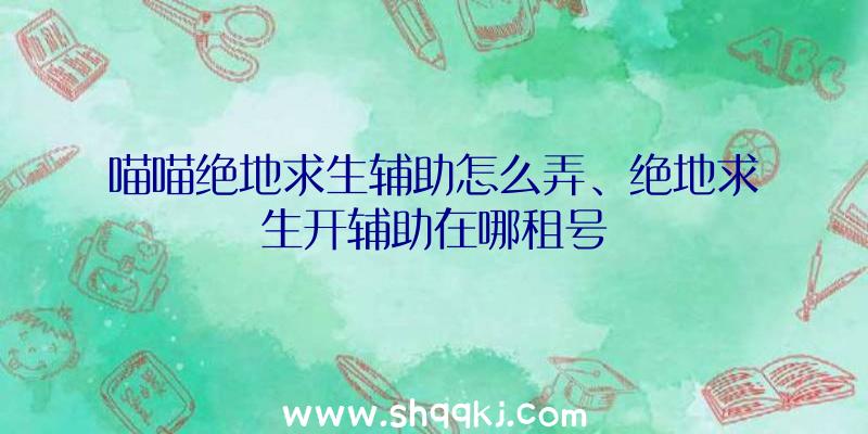 喵喵绝地求生辅助怎么弄、绝地求生开辅助在哪租号