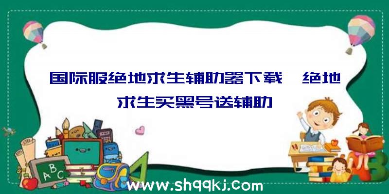 国际服绝地求生辅助器下载、绝地求生买黑号送辅助