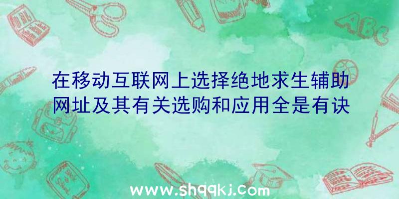 在移动互联网上选择绝地求生辅助网址及其有关选购和应用全是有诀窍的