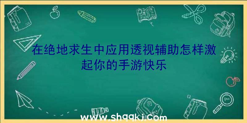 在绝地求生中应用透视辅助怎样激起你的手游快乐