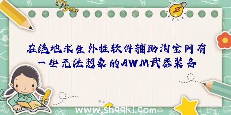 在绝地求生外挂软件辅助淘宝网有一些无法想象的AWM武器装备