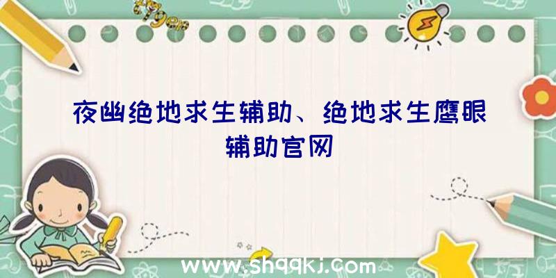 夜幽绝地求生辅助、绝地求生鹰眼辅助官网