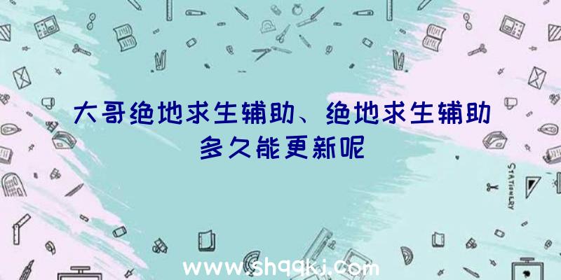 大哥绝地求生辅助、绝地求生辅助多久能更新呢