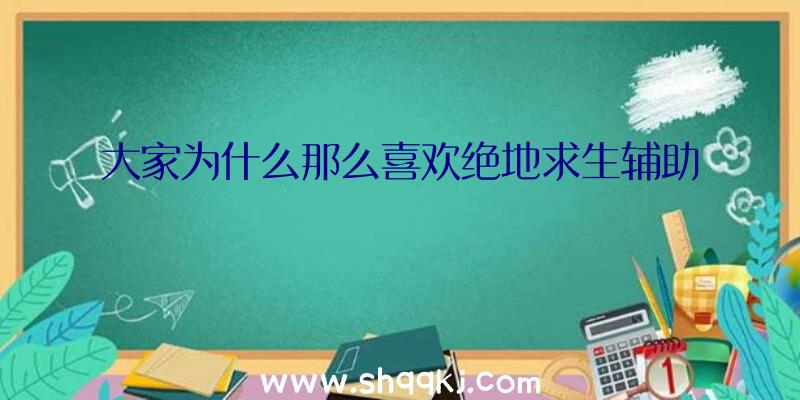 大家为什么那么喜欢绝地求生辅助