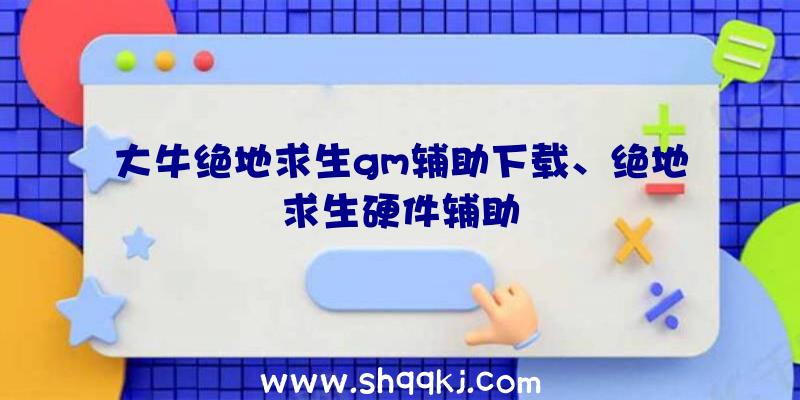 大牛绝地求生gm辅助下载、绝地求生硬件辅助