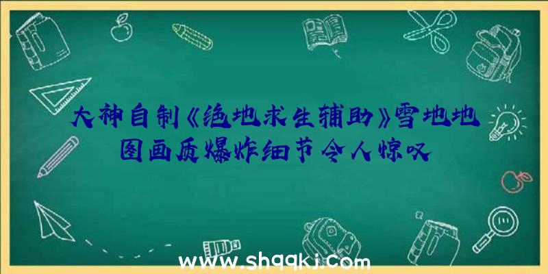 大神自制《绝地求生辅助》雪地地图画质爆炸细节令人惊叹