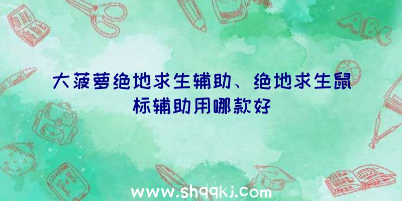 大菠萝绝地求生辅助、绝地求生鼠标辅助用哪款好