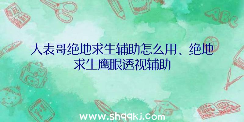 大表哥绝地求生辅助怎么用、绝地求生鹰眼透视辅助