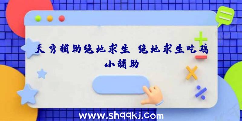 天秀辅助绝地求生、绝地求生吃鸡小辅助