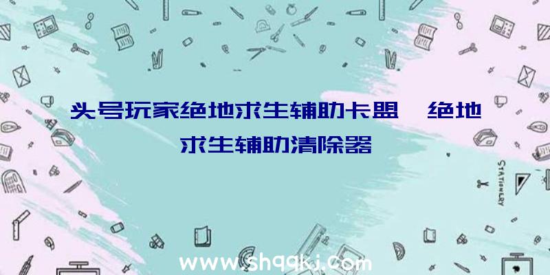 头号玩家绝地求生辅助卡盟、绝地求生辅助清除器