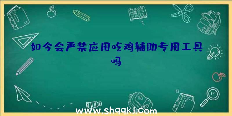 如今会严禁应用吃鸡辅助专用工具吗？