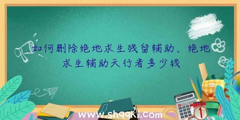 如何删除绝地求生残留辅助、绝地求生辅助天行者多少钱