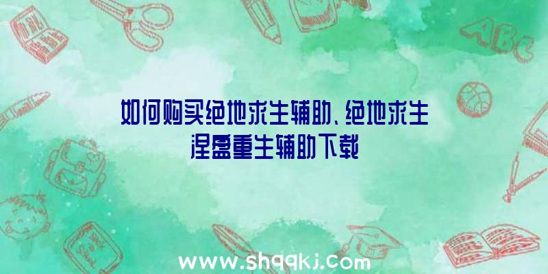 如何购买绝地求生辅助、绝地求生涅盘重生辅助下载