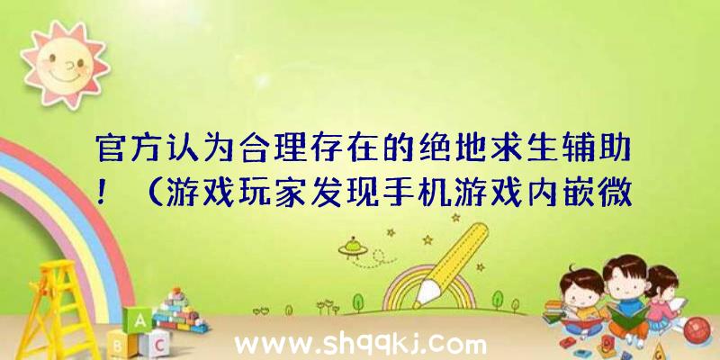 官方认为合理存在的绝地求生辅助！（游戏玩家发现手机游戏内嵌微自瞄、配备轻形枪托）