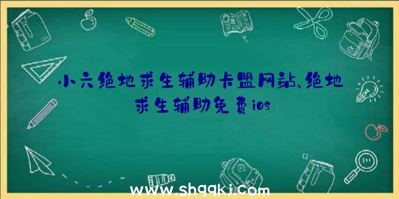 小六绝地求生辅助卡盟网站、绝地求生辅助免费ios