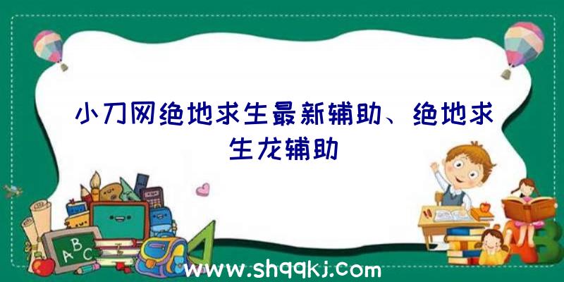 小刀网绝地求生最新辅助、绝地求生龙辅助