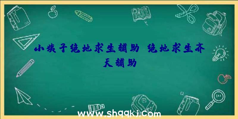 小姨子绝地求生辅助、绝地求生齐天辅助