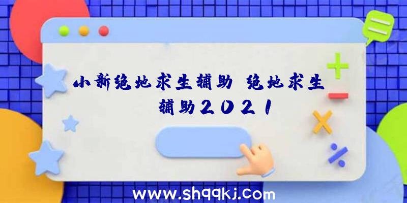 小新绝地求生辅助、绝地求生lite辅助2021