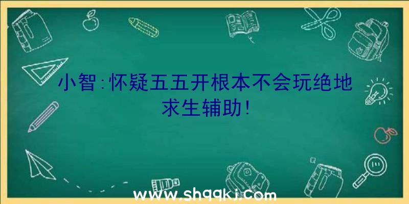 小智:怀疑五五开根本不会玩绝地求生辅助!