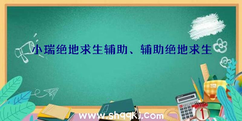 小瑞绝地求生辅助、辅助绝地求生