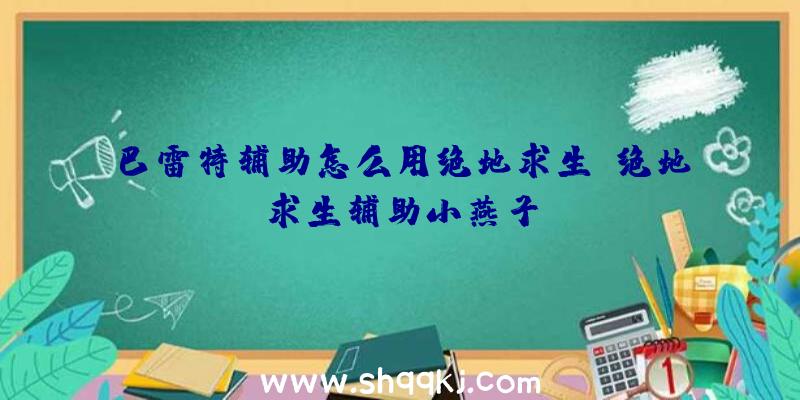 巴雷特辅助怎么用绝地求生、绝地求生辅助小燕子