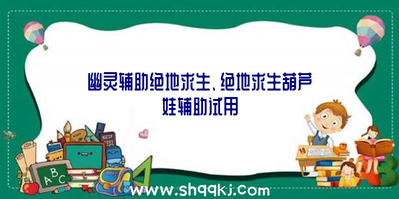 幽灵辅助绝地求生、绝地求生葫芦娃辅助试用