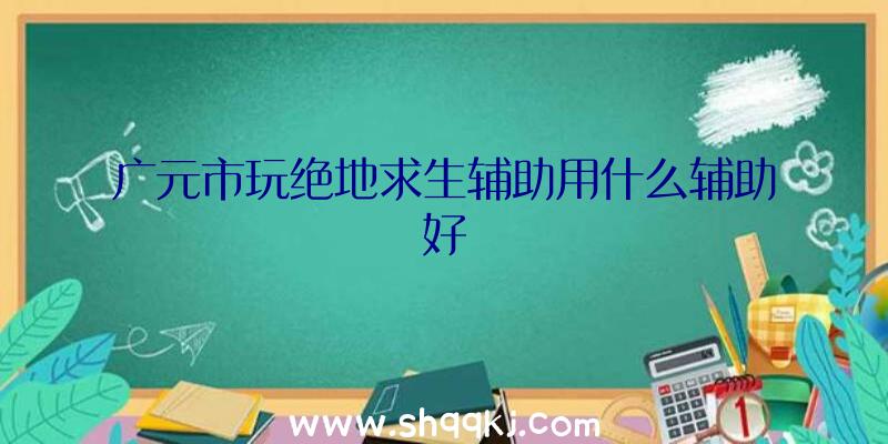 广元市玩绝地求生辅助用什么辅助好