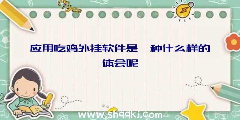 应用吃鸡外挂软件是一种什么样的体会呢