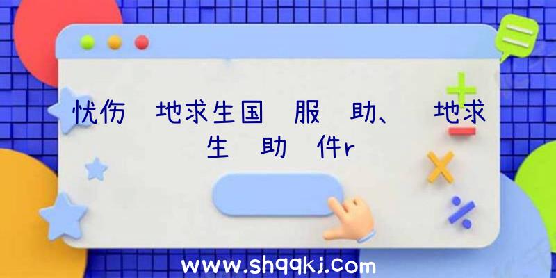 忧伤绝地求生国际服辅助、绝地求生辅助软件r