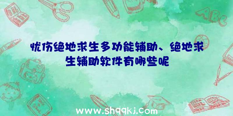 忧伤绝地求生多功能辅助、绝地求生辅助软件有哪些呢