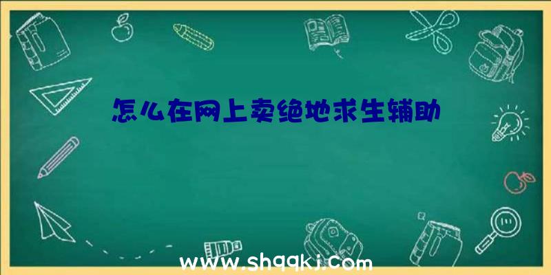 怎么在网上卖绝地求生辅助