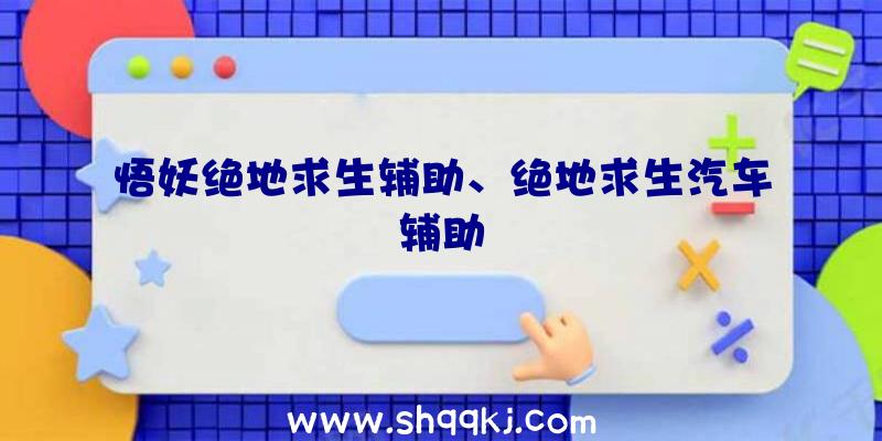 悟妖绝地求生辅助、绝地求生汽车辅助