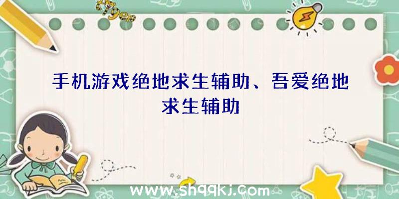 手机游戏绝地求生辅助、吾爱绝地求生辅助