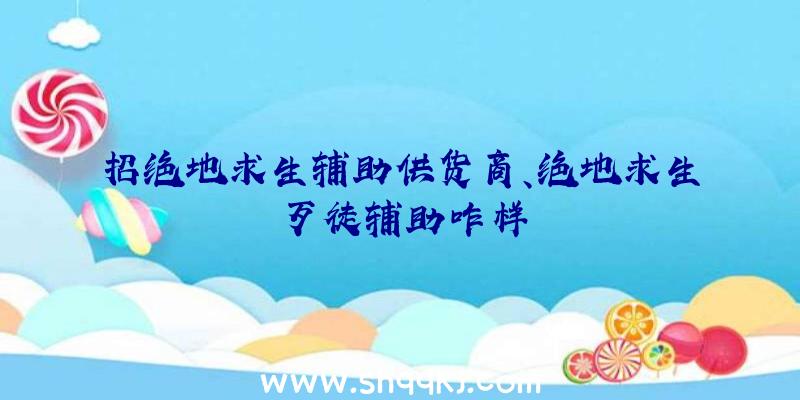 招绝地求生辅助供货商、绝地求生歹徒辅助咋样