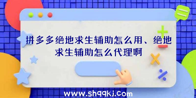 拼多多绝地求生辅助怎么用、绝地求生辅助怎么代理啊