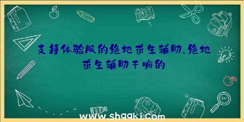 支持体验服的绝地求生辅助、绝地求生辅助干嘛的