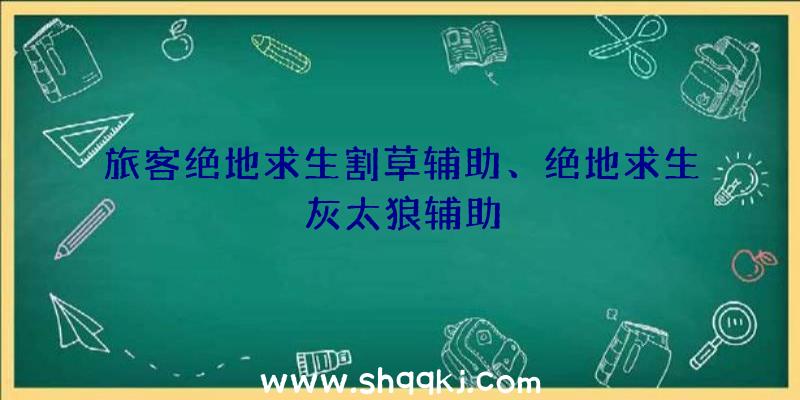 旅客绝地求生割草辅助、绝地求生灰太狼辅助