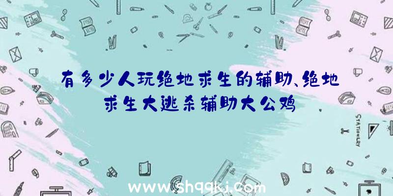 有多少人玩绝地求生的辅助、绝地求生大逃杀辅助大公鸡