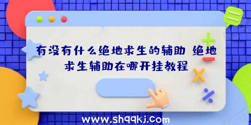 有没有什么绝地求生的辅助、绝地求生辅助在哪开挂教程