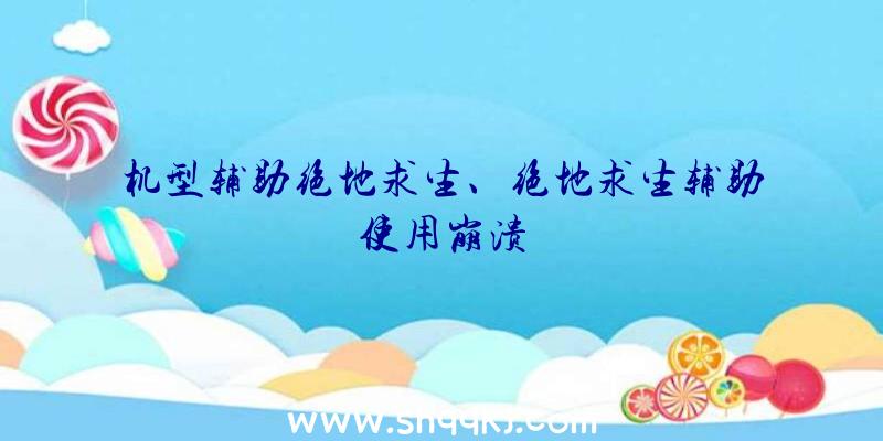 机型辅助绝地求生、绝地求生辅助使用崩溃