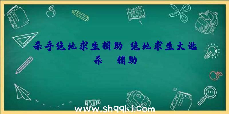 杀手绝地求生辅助、绝地求生大逃杀aw辅助