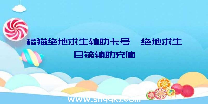 橘猫绝地求生辅助卡号、绝地求生目镜辅助充值