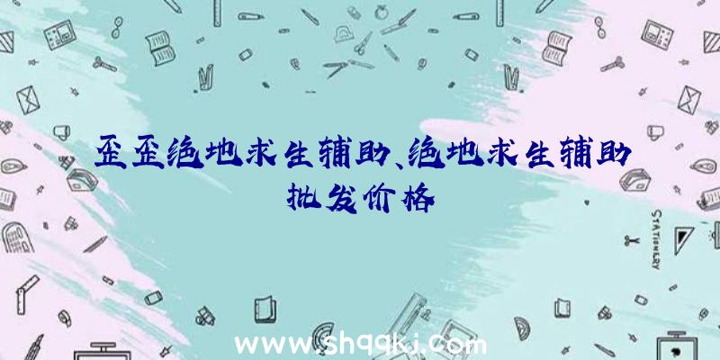 歪歪绝地求生辅助、绝地求生辅助批发价格