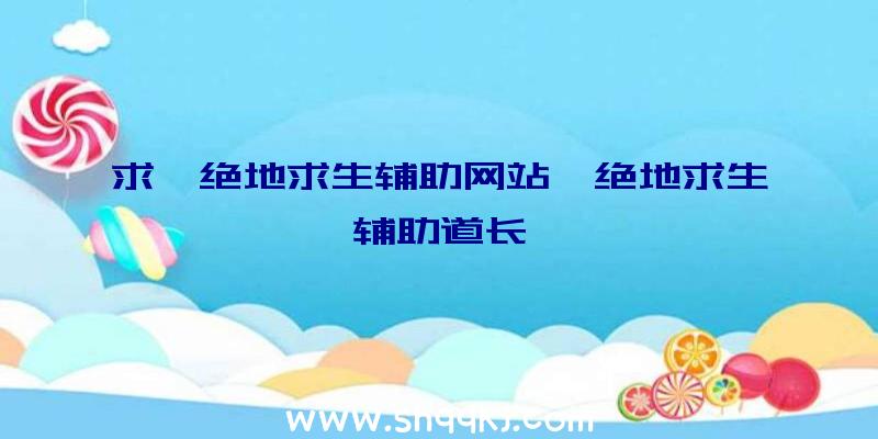 求一绝地求生辅助网站、绝地求生辅助道长