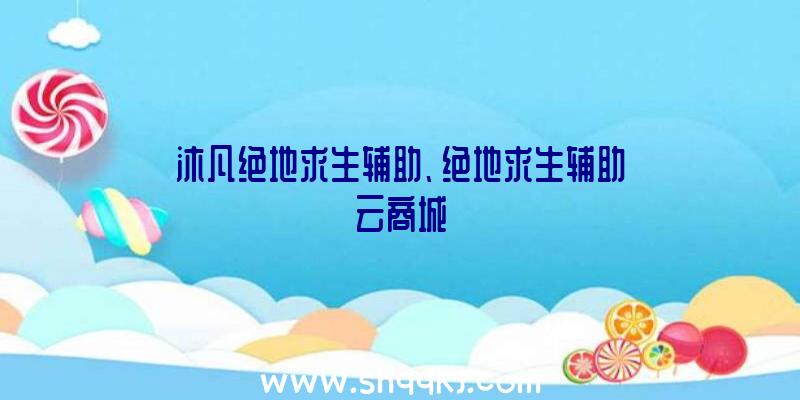 沐凡绝地求生辅助、绝地求生辅助云商城