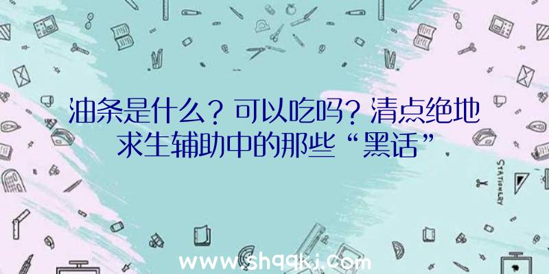 油条是什么？可以吃吗？清点绝地求生辅助中的那些“黑话”